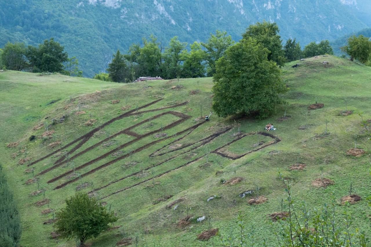 Загородные дома Kljajevica vocnjak Плевля-37